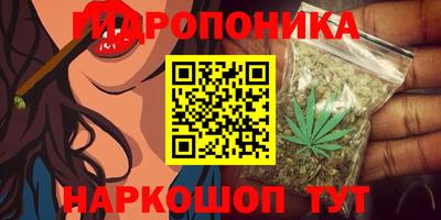 мдпв Мариинск