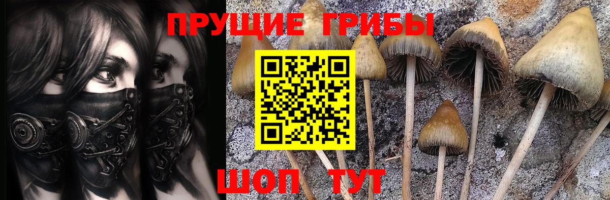 цена наркотик  Вход с VPN  Белореченск  Галлюциногенные грибы ЛСД 